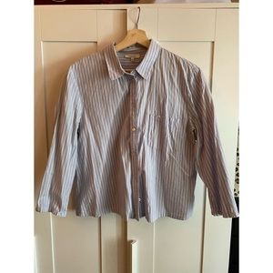 Cropped Aritzia Babaton Oxford Shirt